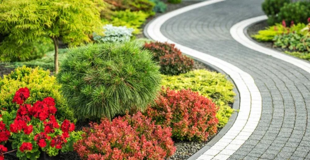 Landscaping Small.3jpg