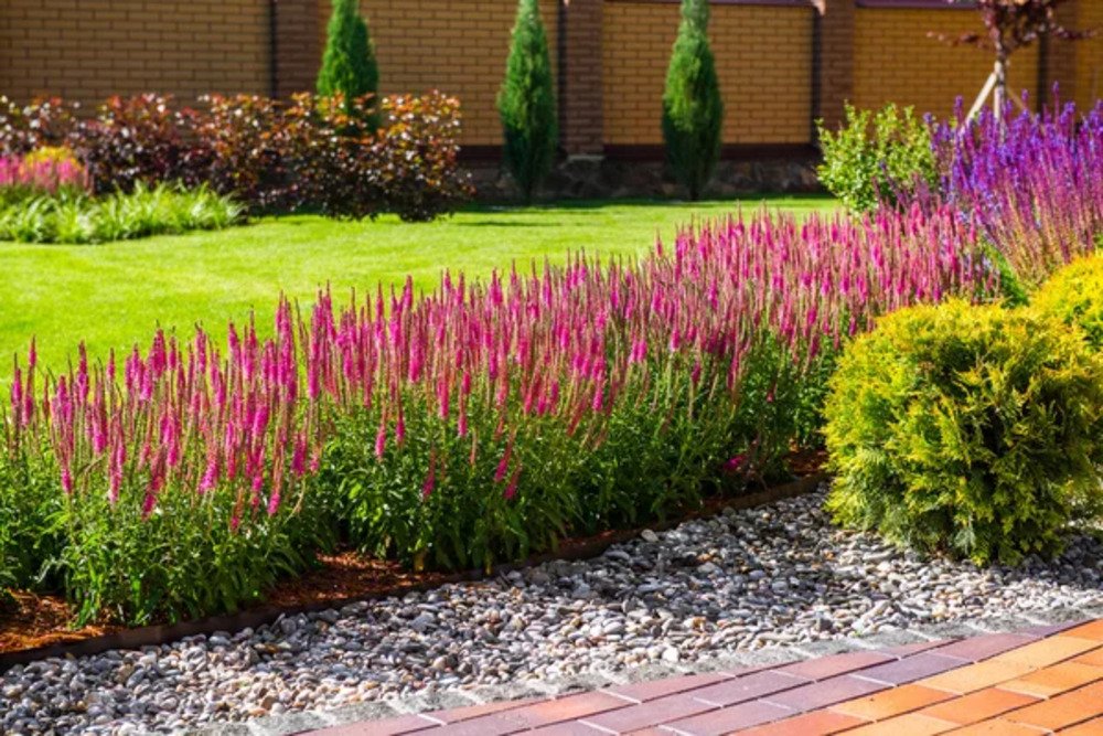 Landscaping Small.4 jpg