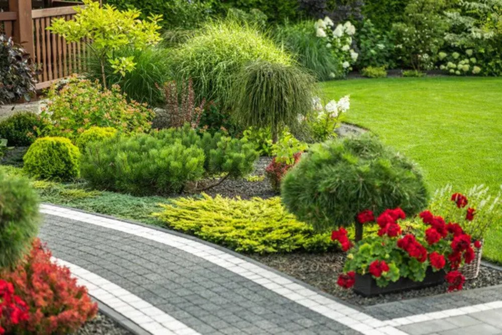 Landscaping Small