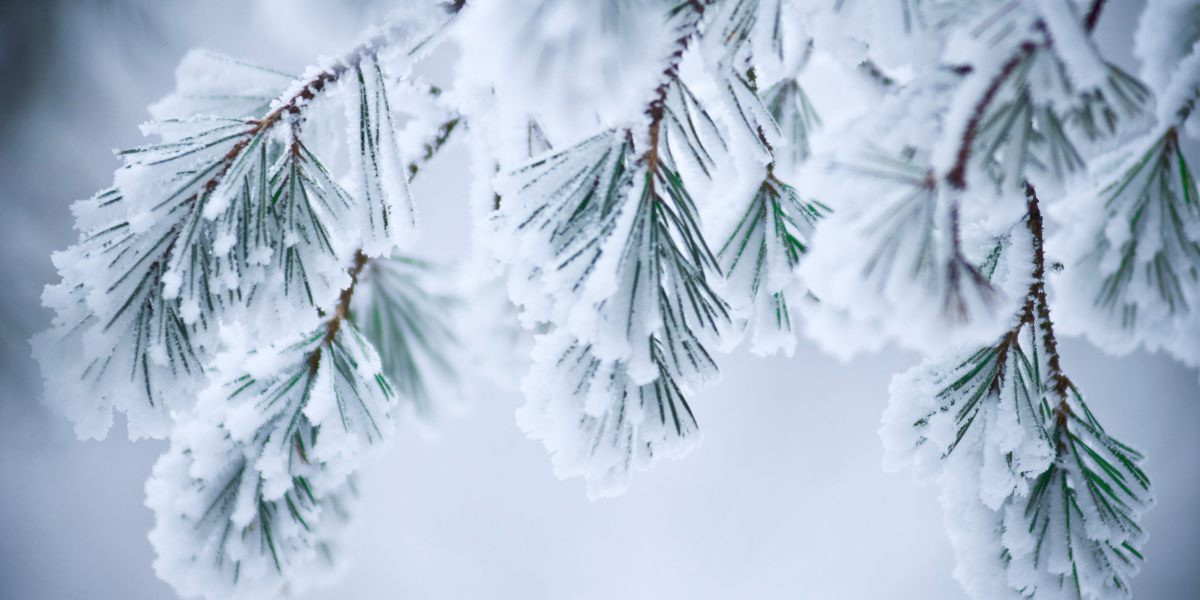 Blog 4